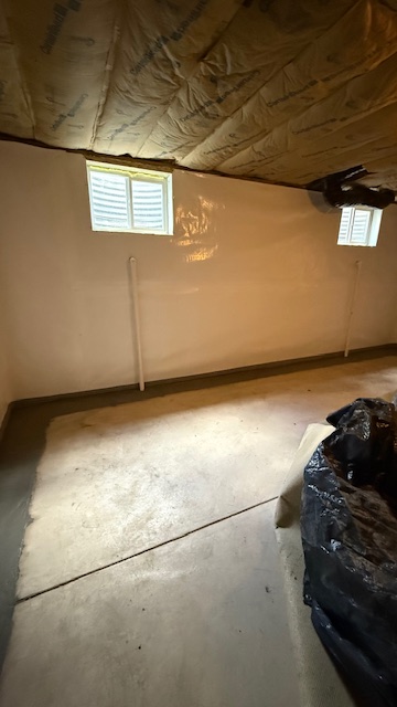 The Real Cost of Ignoring Basement Moisture Problems